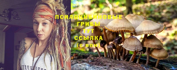 альфа пвп Инсар