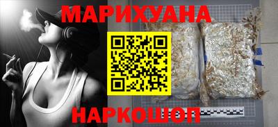 шишки Камышлов