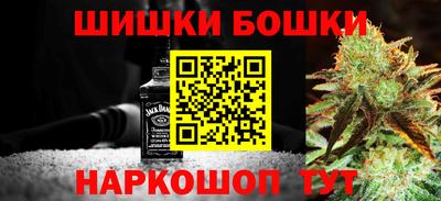 шишки Камышлов