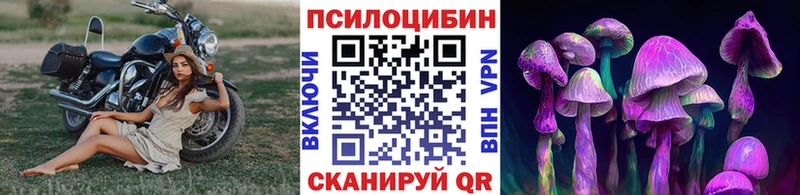 Галлюциногенные грибы Magic Shrooms  Советск 