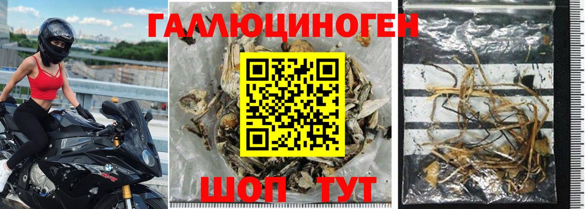 Псилоцибиновые грибы мухоморы  Вход с VPN  Советск  Псилоцибиновые грибы прущие грибы 