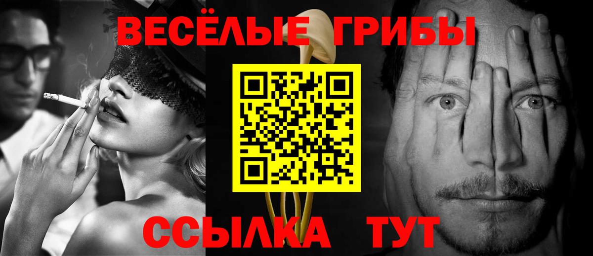 Галлюциногенные грибы Psilocybe Советск